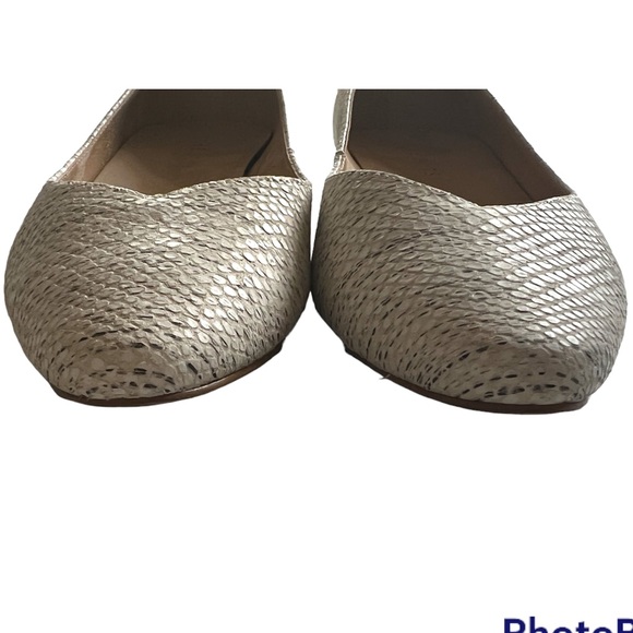 NWOB | Talbots | Edison Snake Embossed Pointy Toe Flats Leather | Size 8.5 - Picture 3 of 8